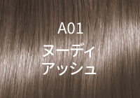 A01 ヌーディアッシュ