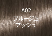 A02 ブルージュアッシュ