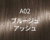 A02 ブルージュアッシュ
