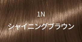 1N シャイニングブラウン