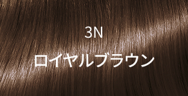 3N ロイヤルブラウン