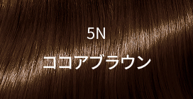 5N ココアブラウン